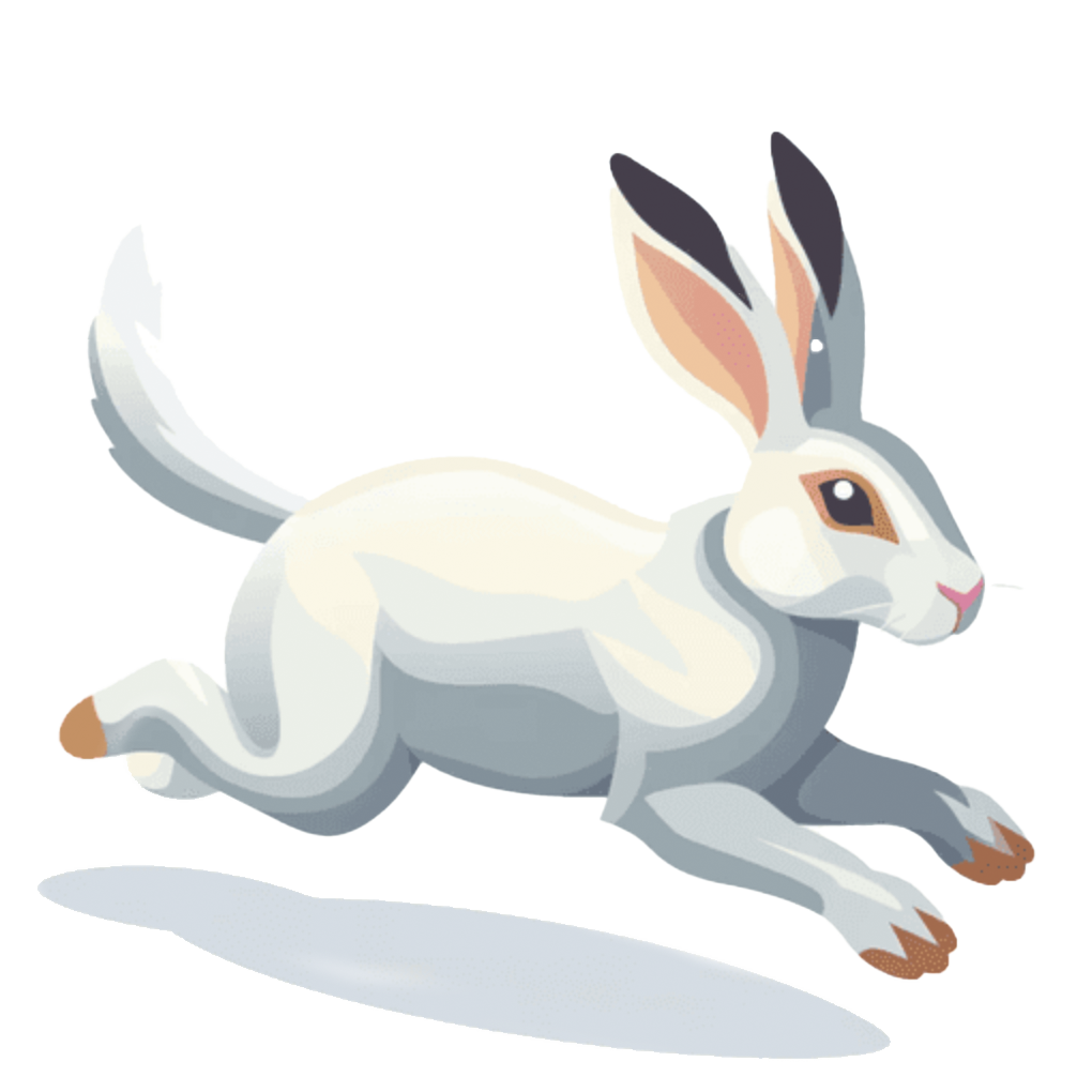 Schneller Hase 1
